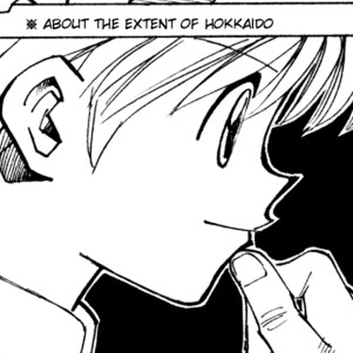 Hunter x Hunter Manga Chapter 134 (The Island's Secret) cover