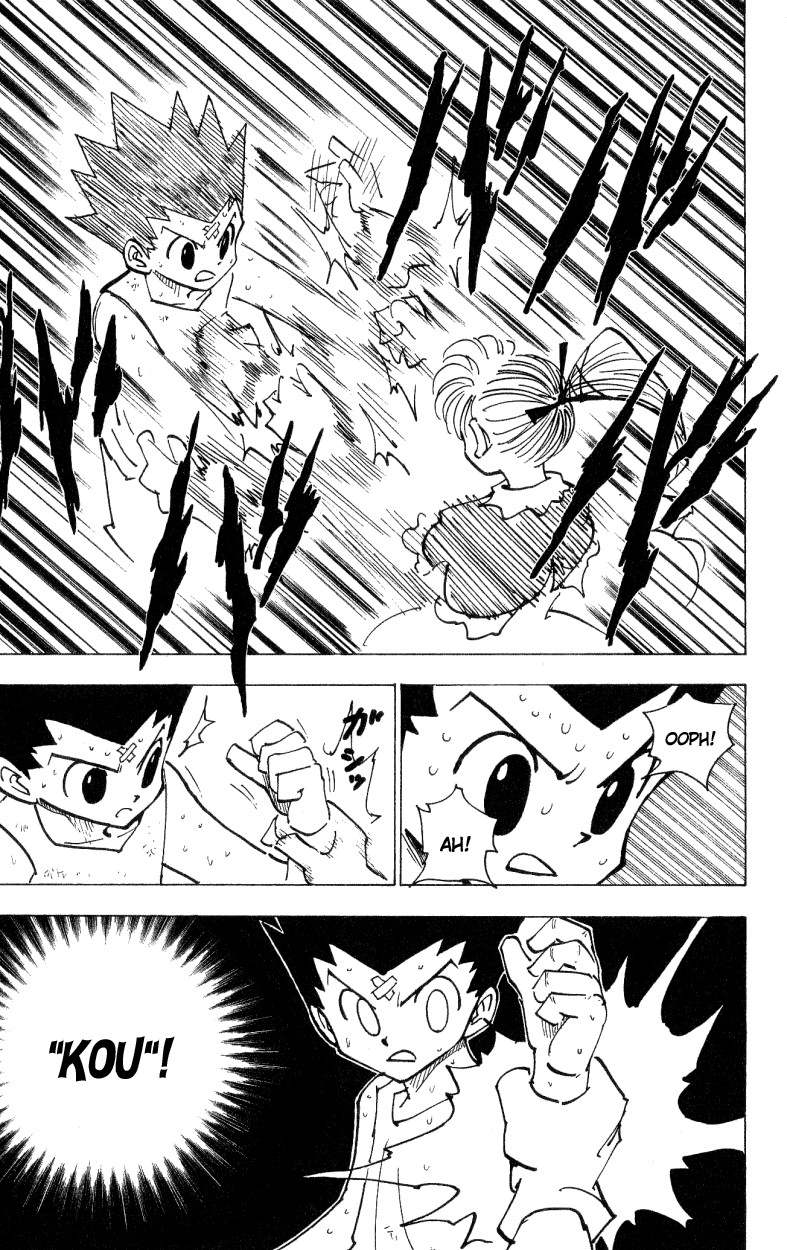 Hunter x Hunter Manga Chapter 171 page 5 - Three-Way Struggle: Part 2