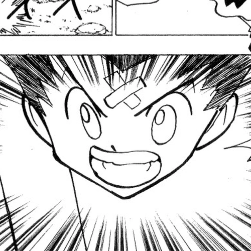 Hunter x Hunter Manga Chapter 171 (Three-Way Struggle: Part 2) cover