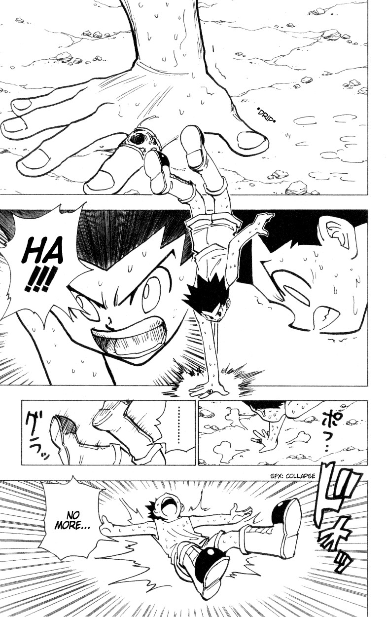Hunter x Hunter Manga Chapter 172 page 9 - Three-Way Struggle: Part 3