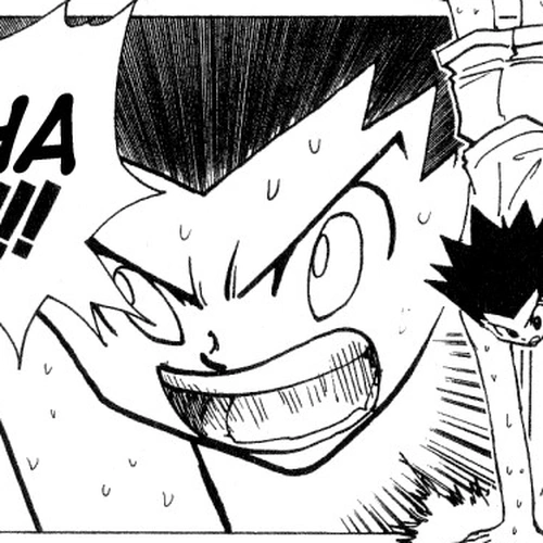 Hunter x Hunter Manga Chapter 172 (Three-Way Struggle: Part 3) cover