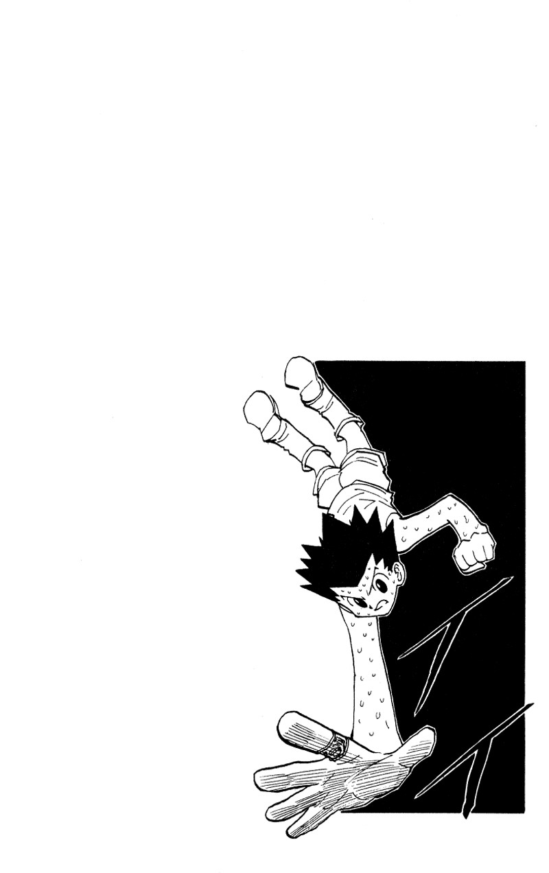 Hunter x Hunter Manga Chapter 173 page 16 - Three-Way Struggle: Part 4