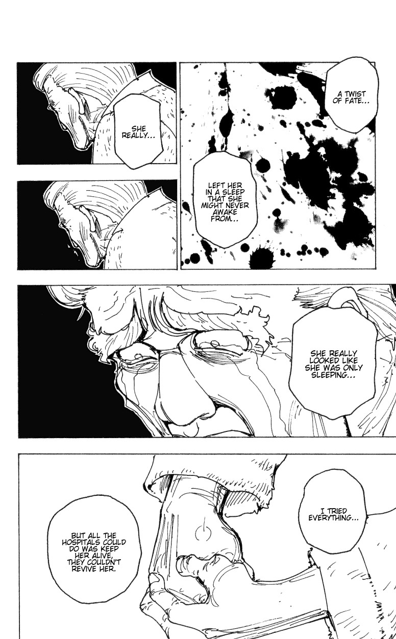 Hunter x Hunter Manga Chapter 174 page 14 - Three-Way Struggle: Part 5