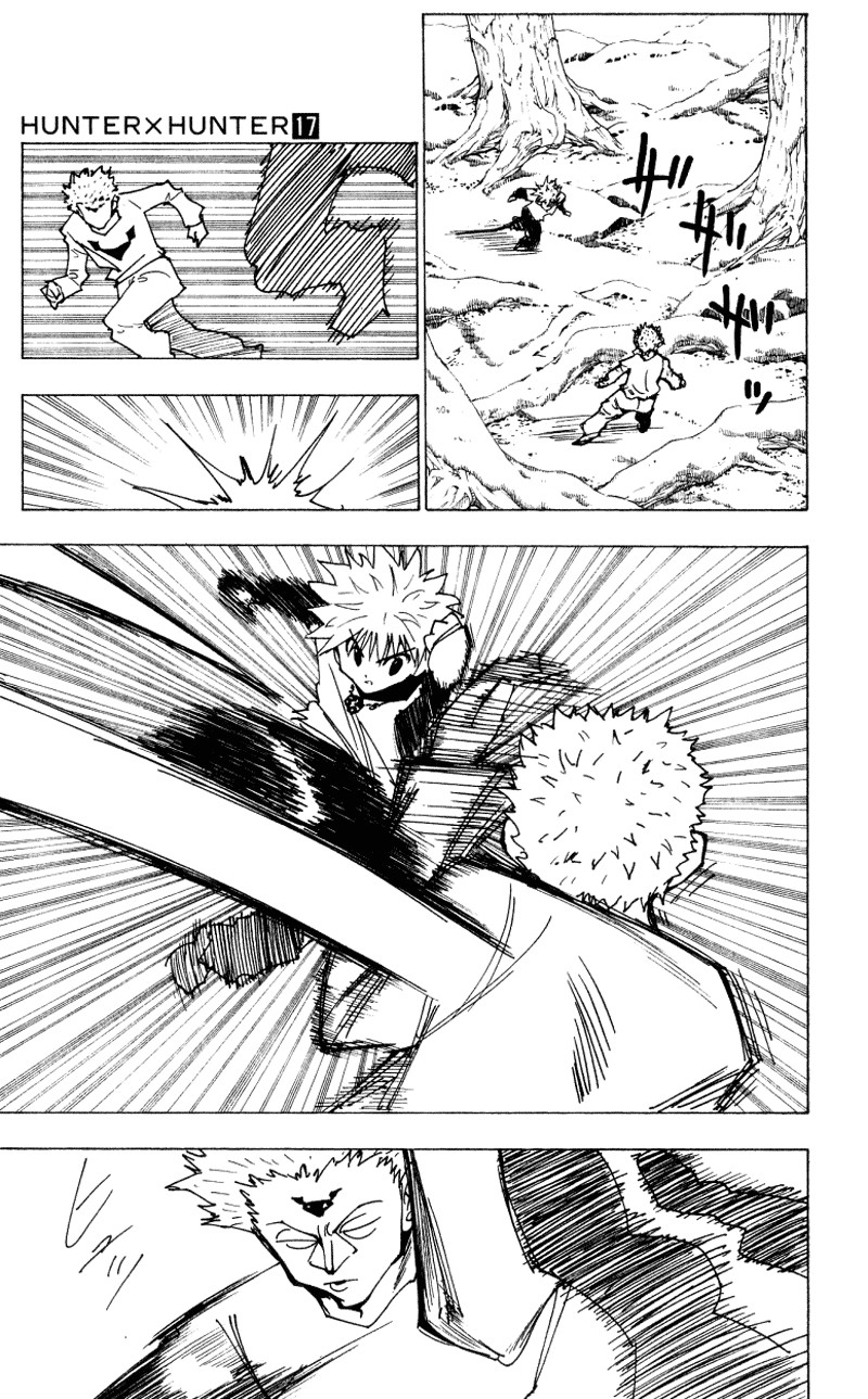 Hunter x Hunter Manga Chapter 175 page 13 - Three-Way Struggle: Part 6