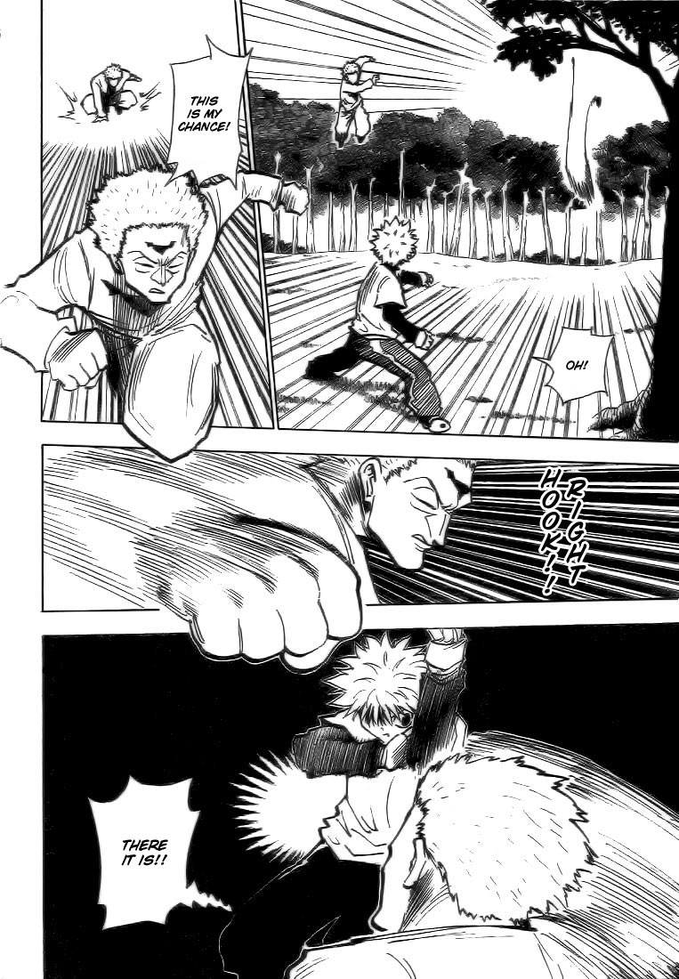 Hunter x Hunter Manga Chapter 178 page 10 - Three-Way Struggle: Part 9