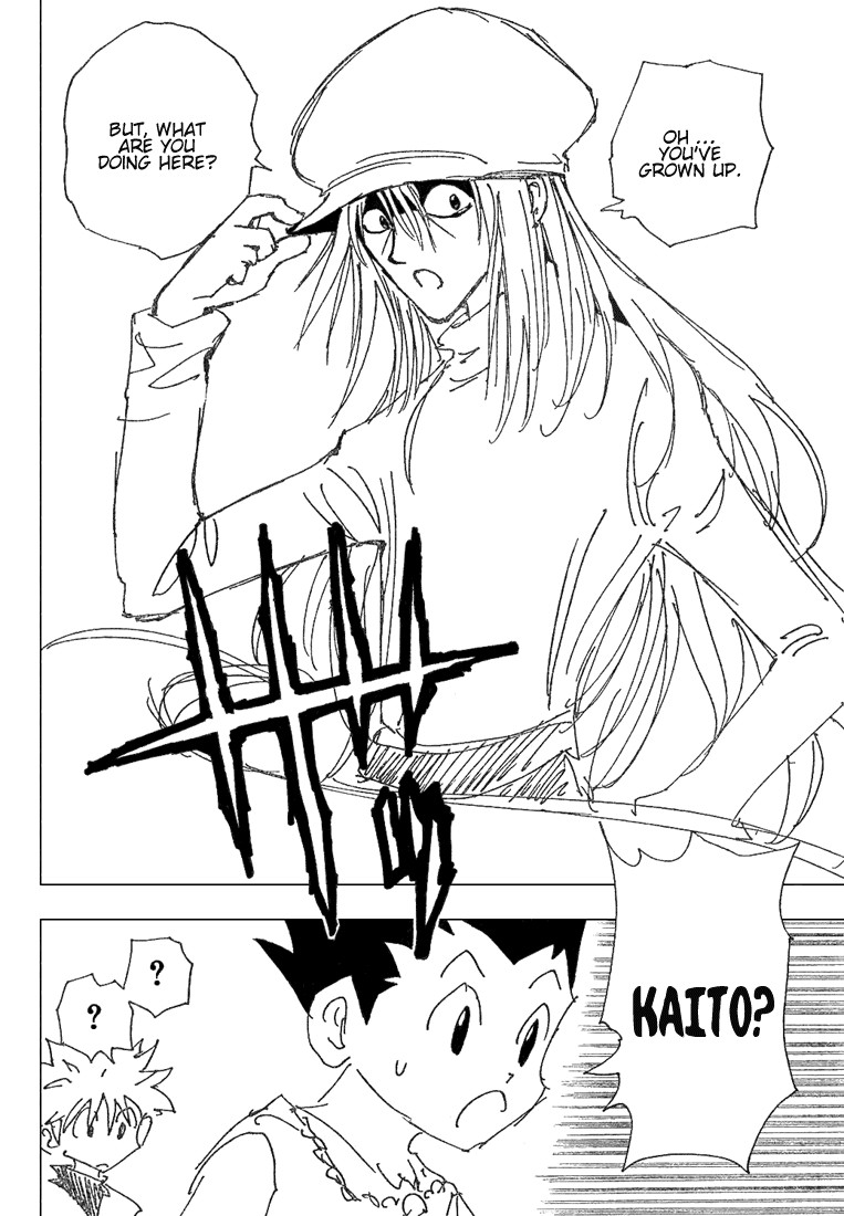 Hunter x Hunter Manga Chapter 185 page 13 - Chance Encounter