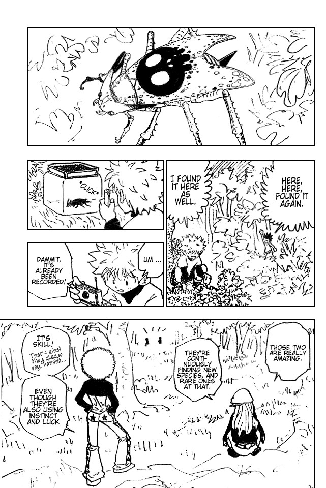 Hunter x Hunter Manga Chapter 186 page 11 - The Queen