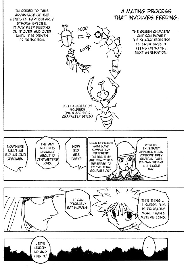 Hunter x Hunter Manga Chapter 187 page 12 - The Best Fodder