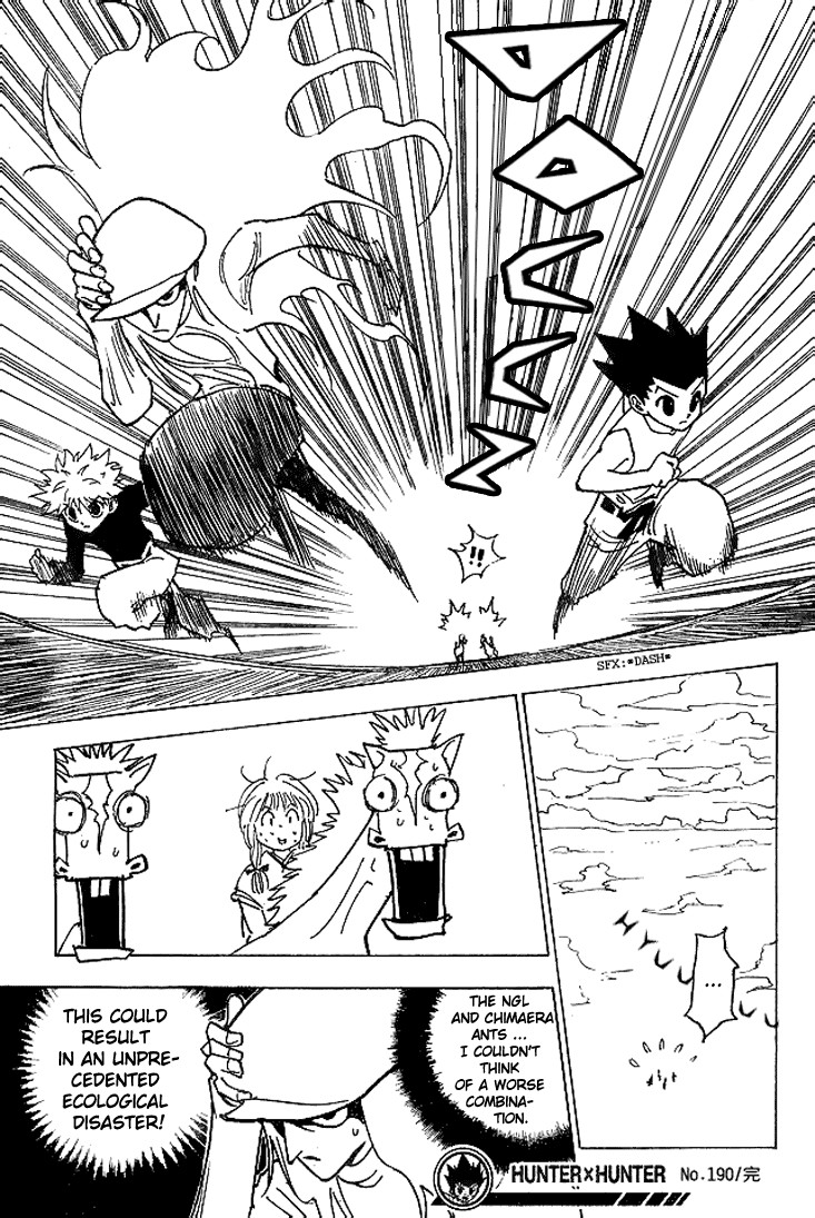 Hunter x Hunter Manga Chapter 190 page 15 - The Hunt