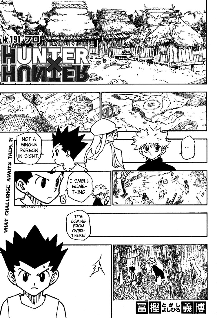 Hunter x Hunter Manga Chapter 191 page 2 - Pros