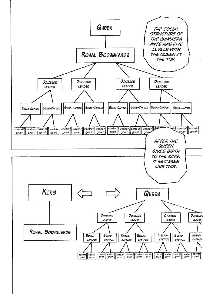 Hunter x Hunter Manga Chapter 194 page 5 - vs. Hagya's Squad: Part 1