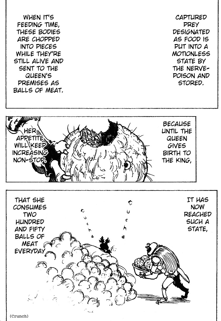 Hunter x Hunter Manga Chapter 197 page 12 - vs. Hagya's Squad: Part 4