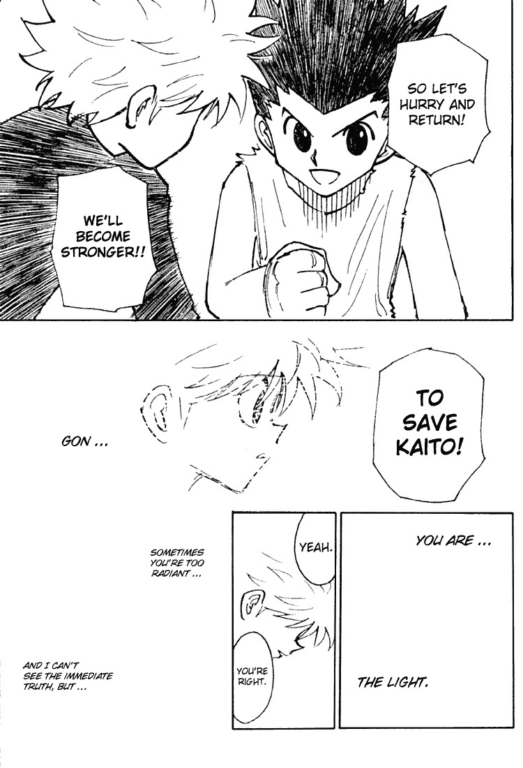 Hunter x Hunter Manga Chapter 199 page 13 - Light and Shadow