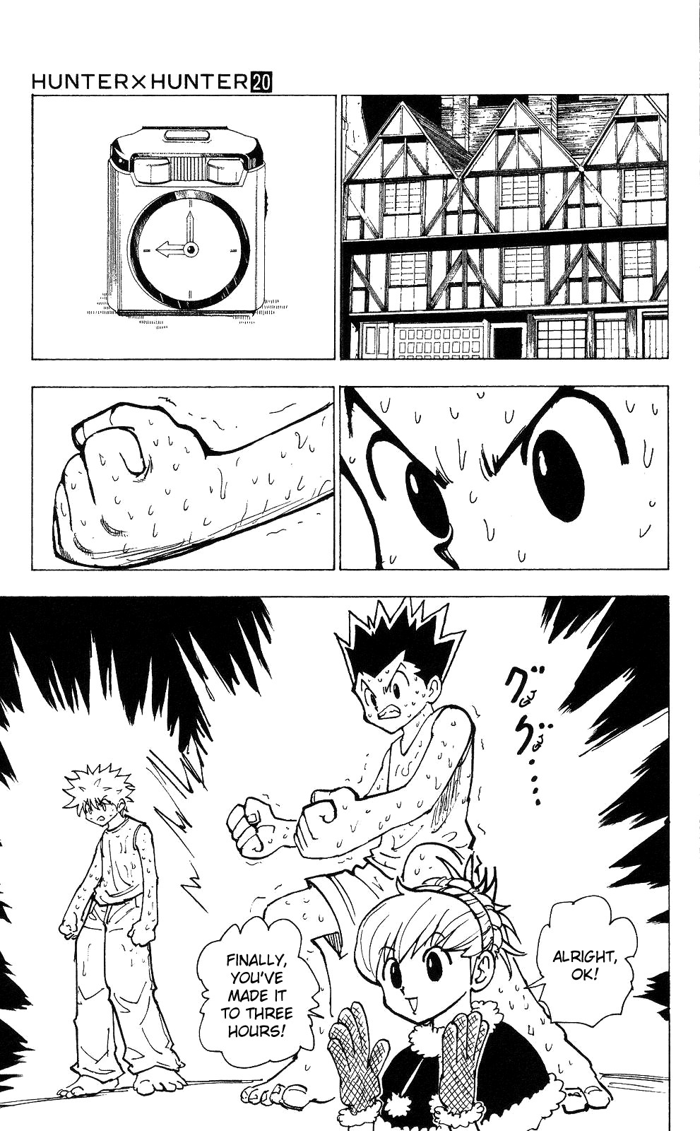 Hunter x Hunter Manga Chapter 202 page 11 - Duel