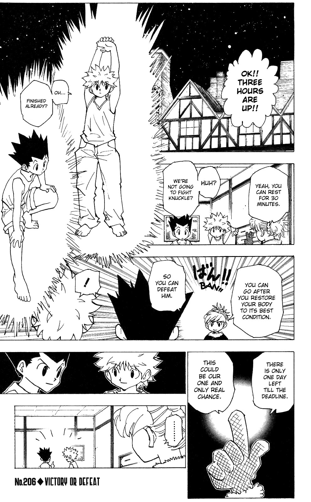 Hunter x Hunter Manga Chapter 206 page 1 - A Real Fight