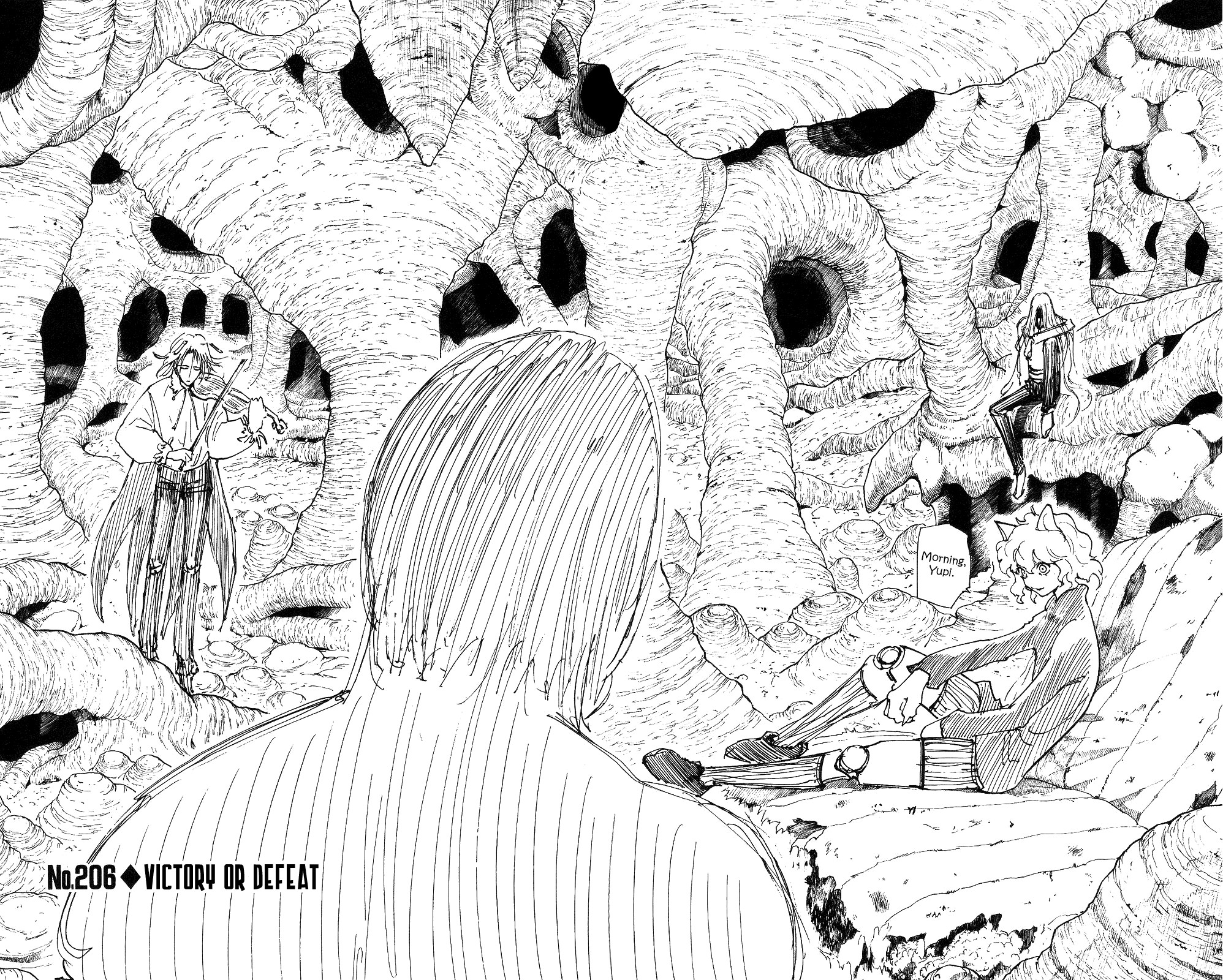 Hunter x Hunter Manga Chapter 206 page 4 - A Real Fight