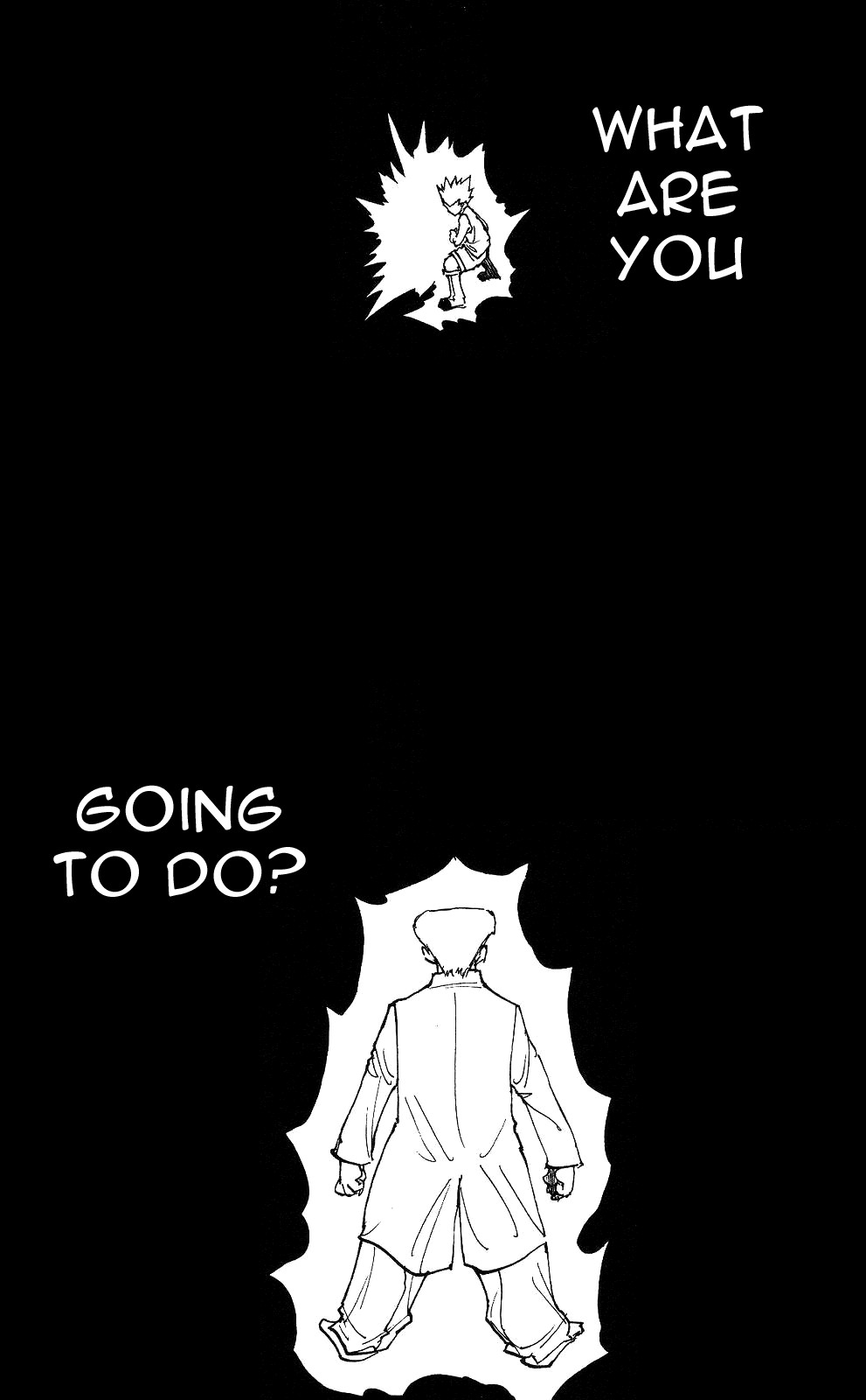 Hunter x Hunter Manga Chapter 208 page 15 - Weakness: Part 2