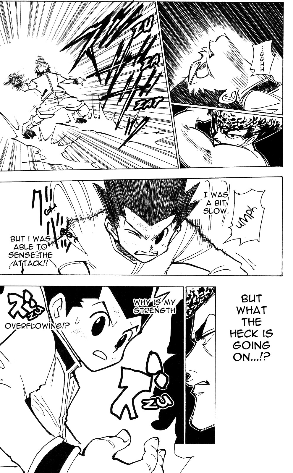 Hunter x Hunter Manga Chapter 210 page 13 - Weakness: Part 3