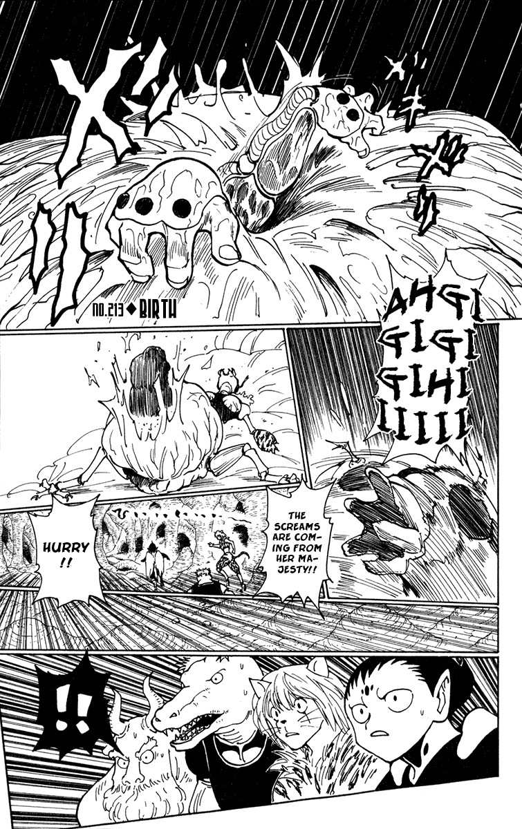 Hunter x Hunter Manga Chapter 213 page 1 - Birth
