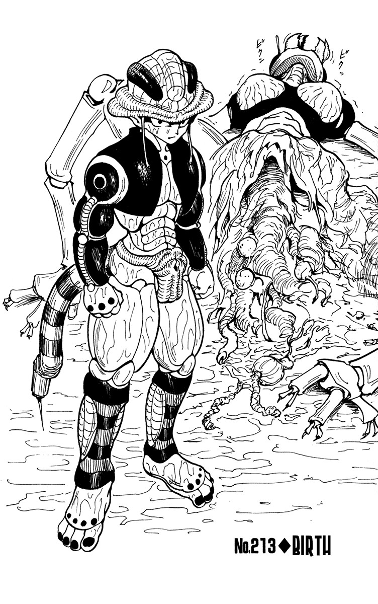 Hunter x Hunter Manga Chapter 213 page 2 - Birth