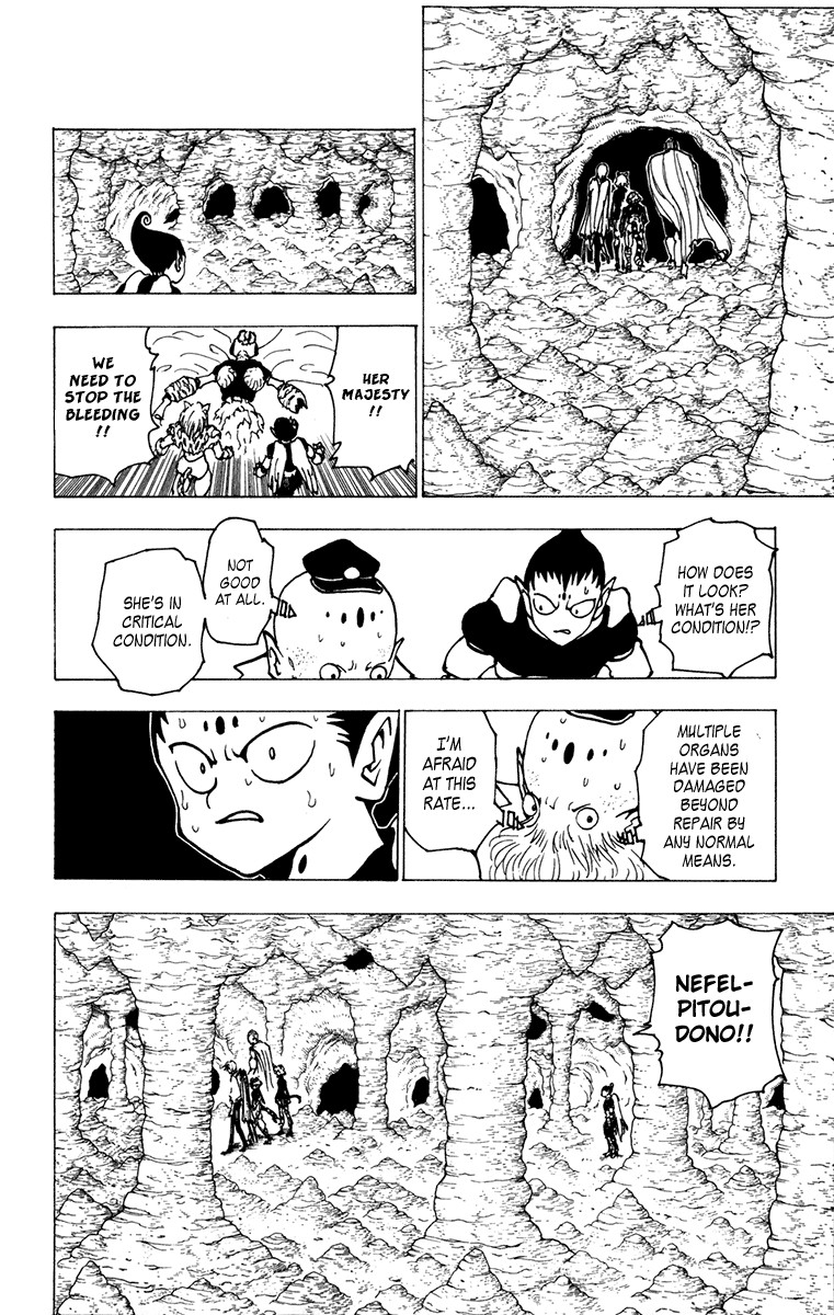 Hunter x Hunter Manga Chapter 213 page 8 - Birth