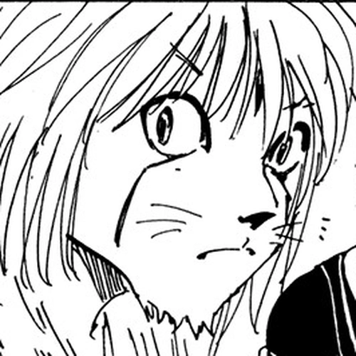 Hunter x Hunter Manga Chapter 214 (Results) cover