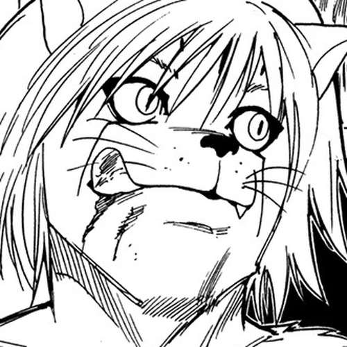 Hunter x Hunter Manga Chapter 216 (Republic of East Gorteau) cover