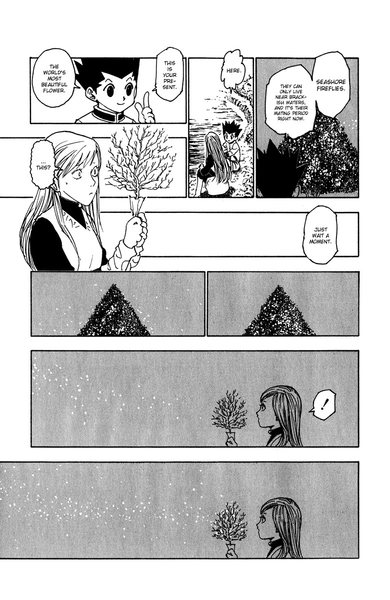 Hunter x Hunter Manga Chapter 218 page 13 - Confession