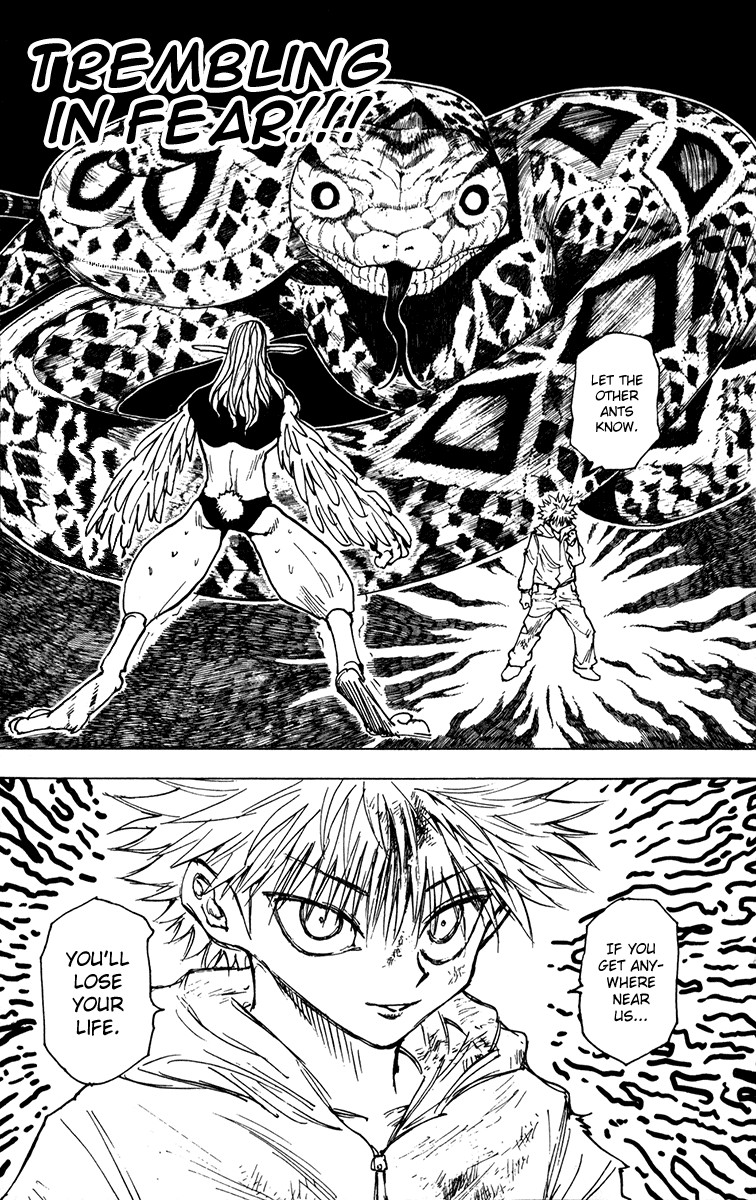Hunter x Hunter Manga Chapter 219 page 13 - Awakening