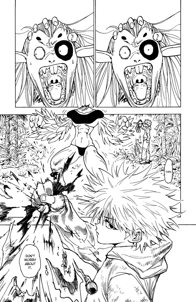 Hunter x Hunter Manga Chapter 219 page 15 - Awakening