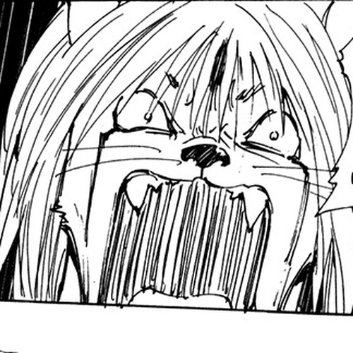 Hunter x Hunter Manga Chapter 221 (Reunion: Part 2) cover