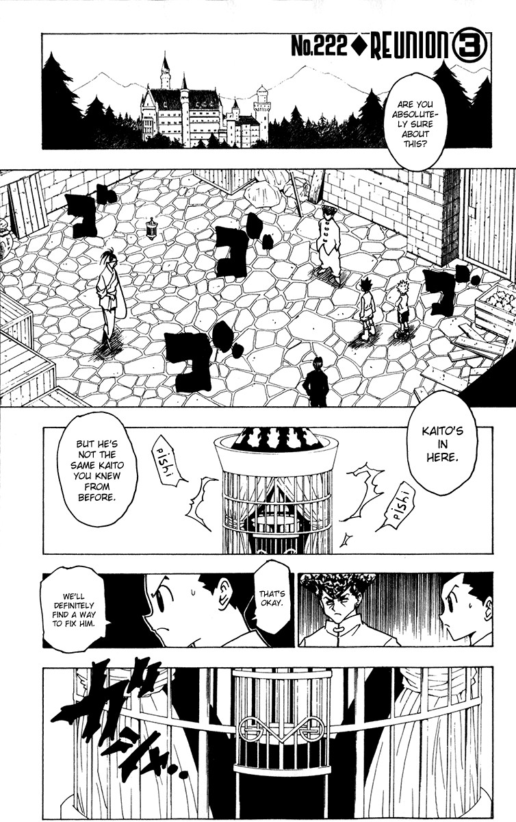Hunter x Hunter Manga Chapter 222 page 1 - Reunion: Part 3