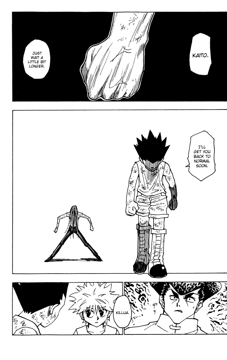 Hunter x Hunter Manga Chapter 222 page 14 - Reunion: Part 3
