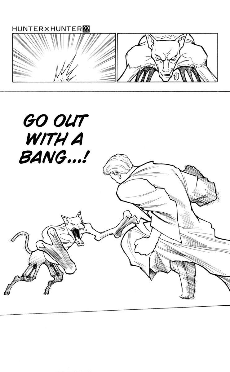 Hunter x Hunter Manga Chapter 229 page 13 - 10: Part 7