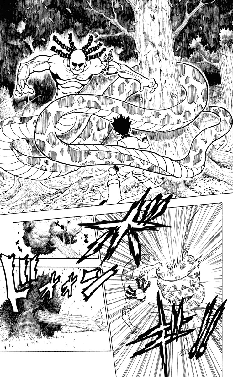 Hunter x Hunter Manga Chapter 231 page 9 - 9: Part 2