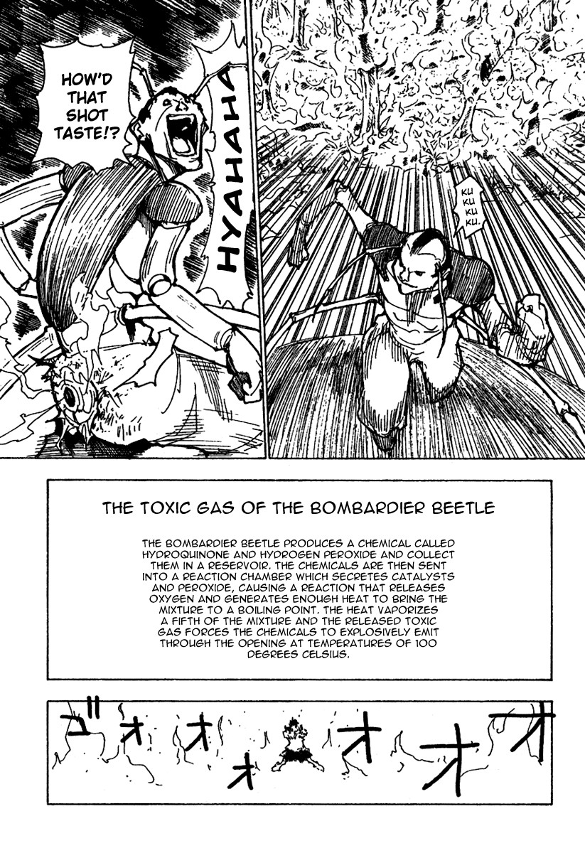 Hunter x Hunter Manga Chapter 236 page 11 - 8: Part 2