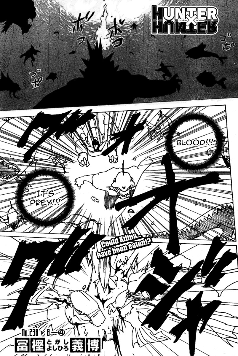 Hunter x Hunter Manga Chapter 238 page 1 - 8: Part 4