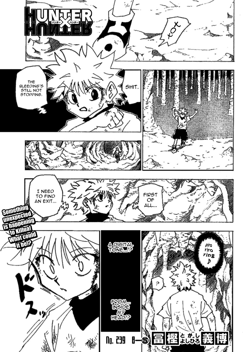 Hunter x Hunter Manga Chapter 239 page 1 - 8: Part 5