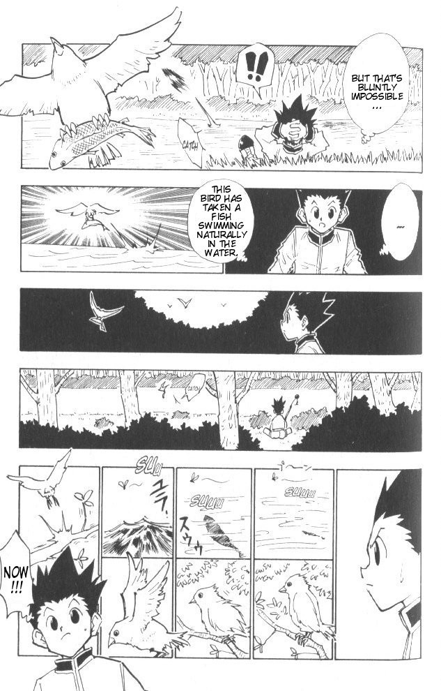 Hunter x Hunter Manga Chapter 24 page 18 - Crash Course