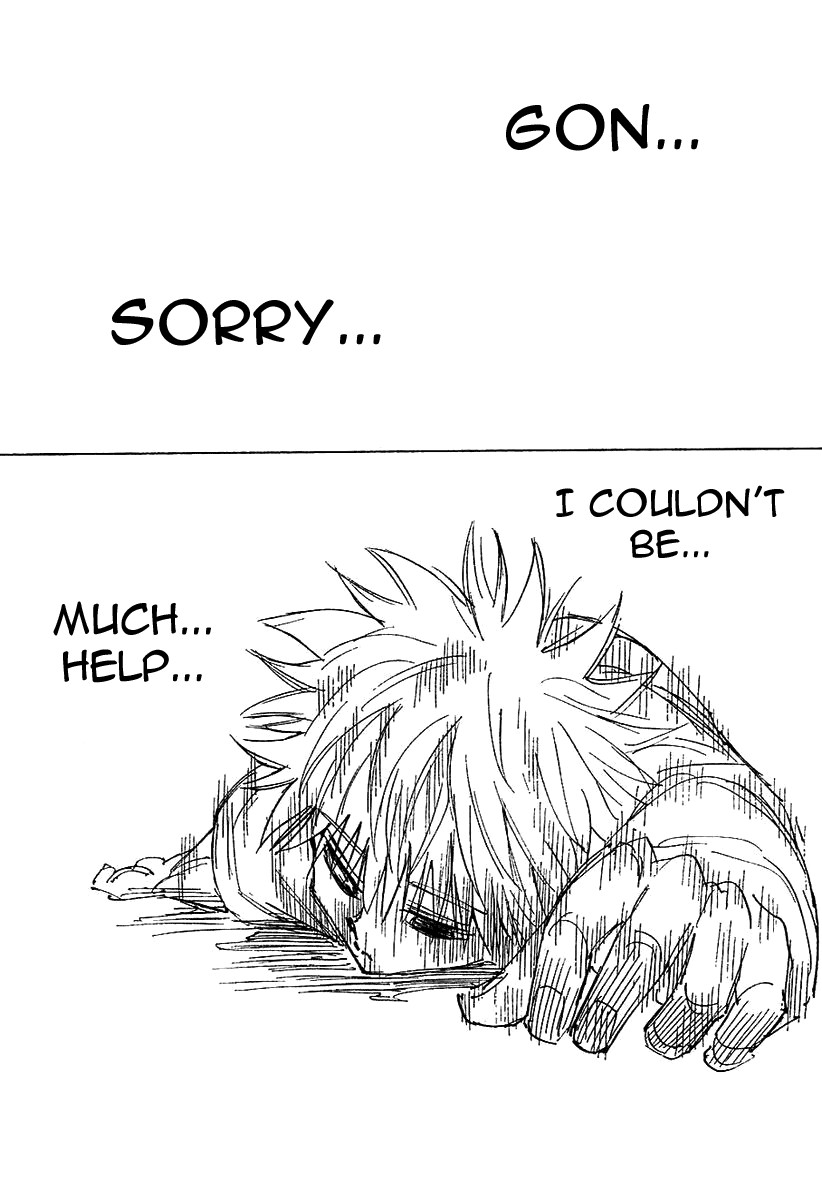 Hunter x Hunter Manga Chapter 241 page 6 - 8: Part 7