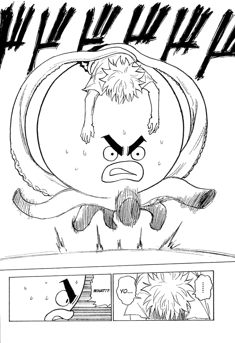 Hunter x Hunter Manga Chapter 241 page 9 - 8: Part 7