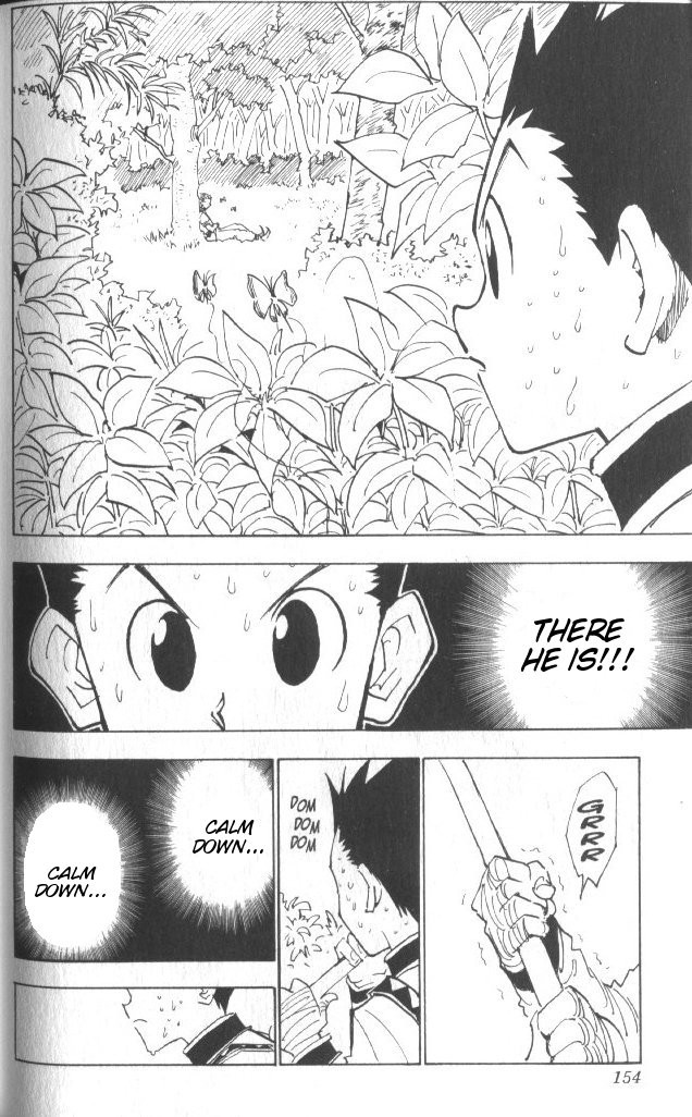 Hunter x Hunter Manga Chapter 25 page 9 - The Second Day