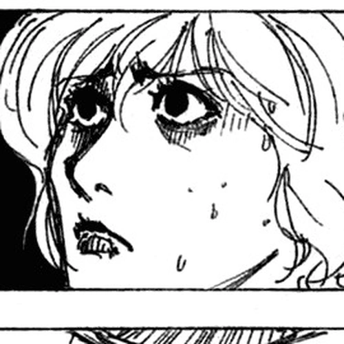 Hunter x Hunter Manga Chapter 254 (6: Part 11) cover