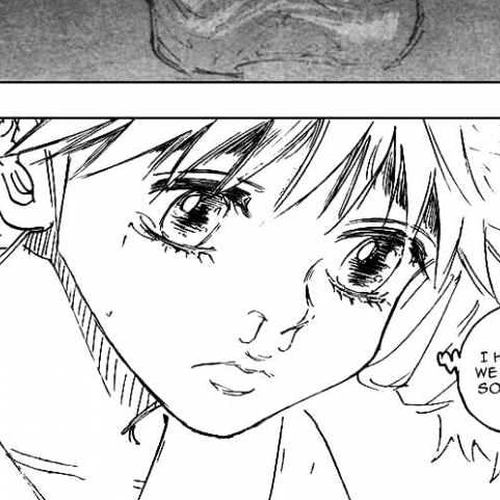 Hunter x Hunter Manga Chapter 261 (Charge: Part 1) cover