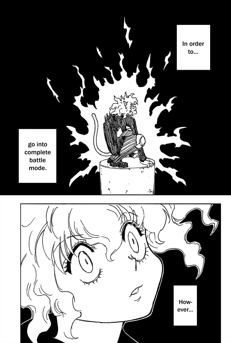 Hunter x Hunter Manga Chapter 263 page 14 - Charge: Part 3