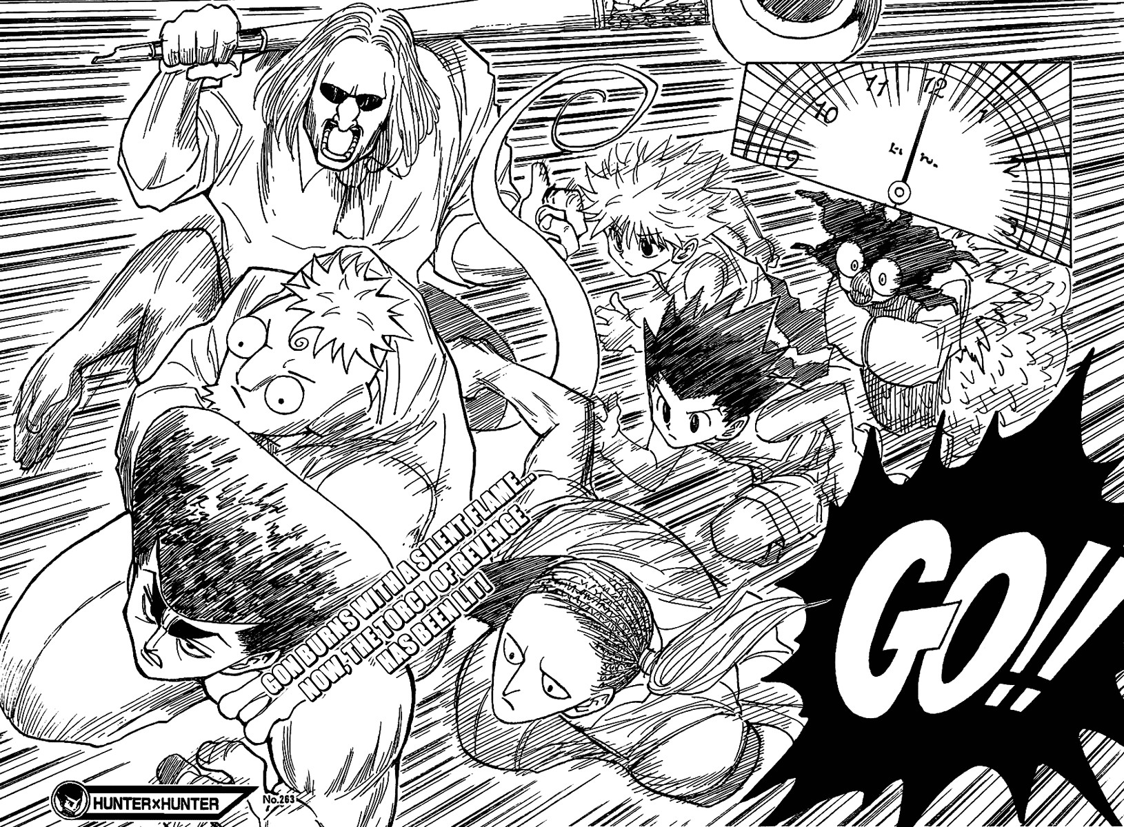 Hunter x Hunter Manga Chapter 263 page 17 - Charge: Part 3