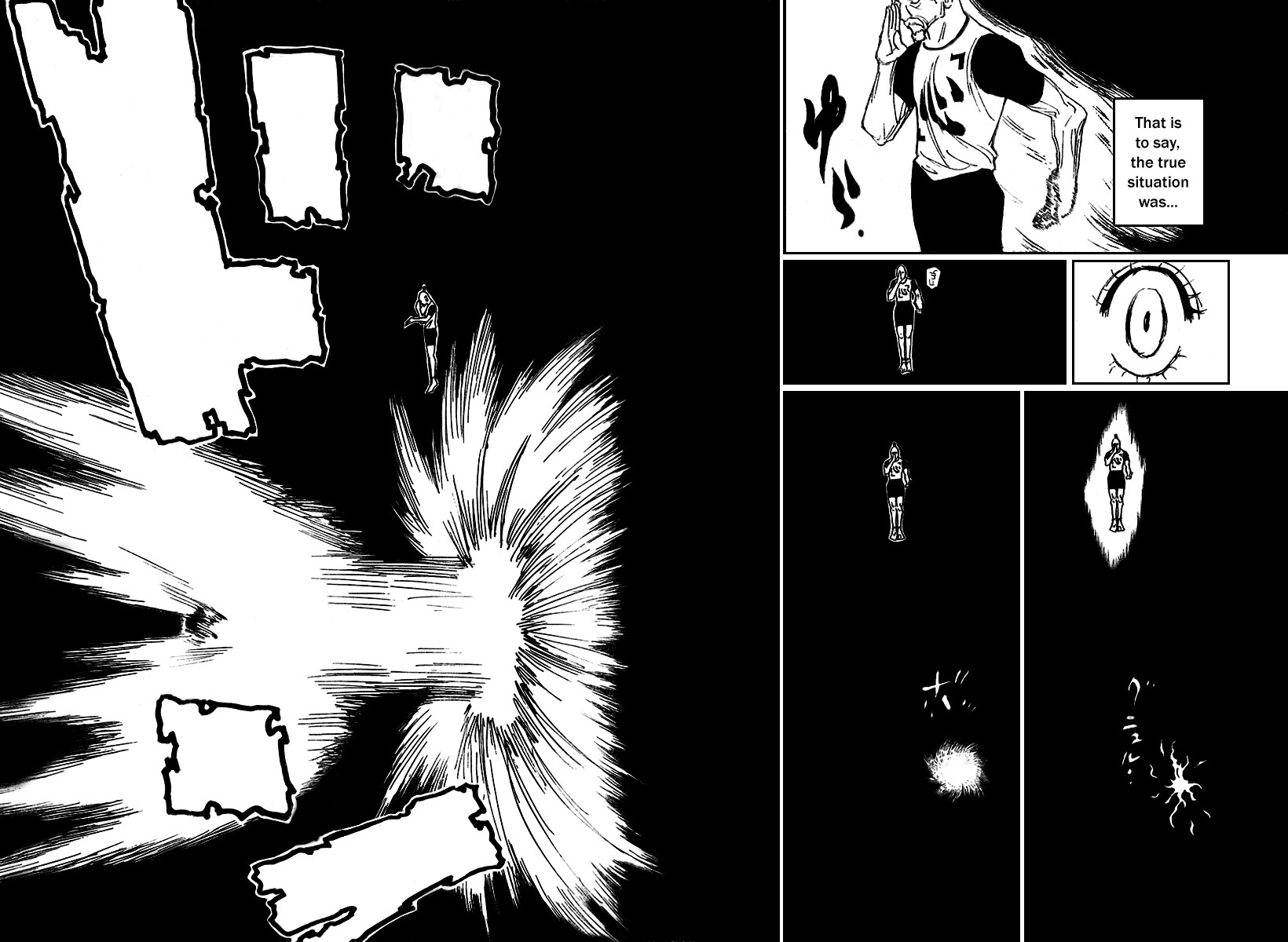 Hunter x Hunter Manga Chapter 264 page 12 - Charge: Part 4