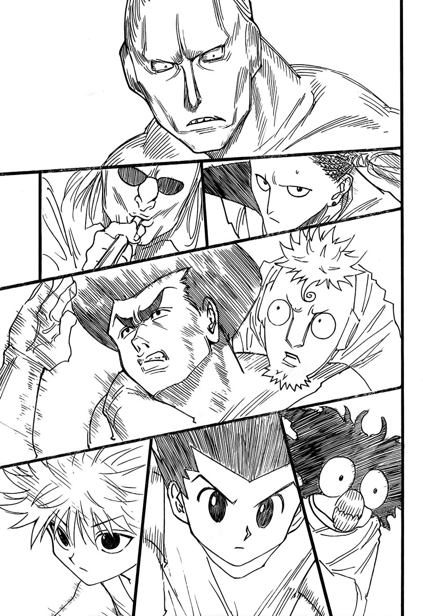 Hunter x Hunter Manga Chapter 265 page 14 - Charge: Part 5