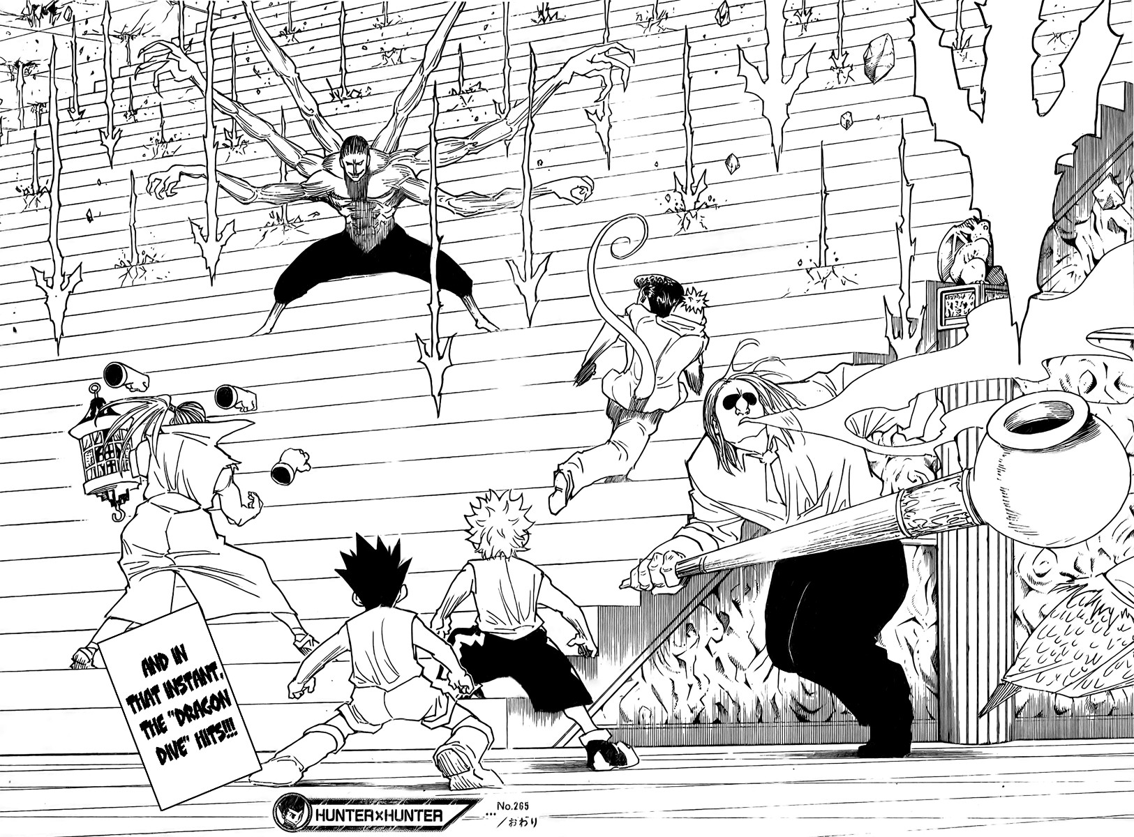 Hunter x Hunter Manga Chapter 265 page 16 - Charge: Part 5