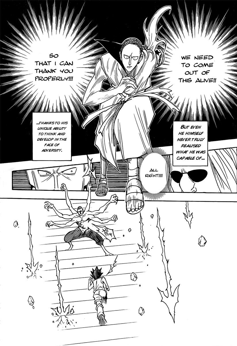 Hunter x Hunter Manga Chapter 266 page 13 - In the Unlikely Event Of...